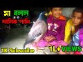 শালিক পাখি মা বললেন😱 || শালিক পাখি কথা বলে😲 || Shalik Pakhi Kotha Bole || 1Million Views 🙏🙏