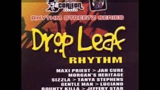 Drop Leaf Riddim Mix 2005 - DJ Smilee