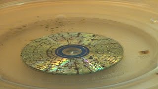 WHAT HAPPENS TO A CD IN A MICROWAVE?