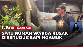 Two Sacrificed Cows in Kebon Jeruk Rampage! | Morning News