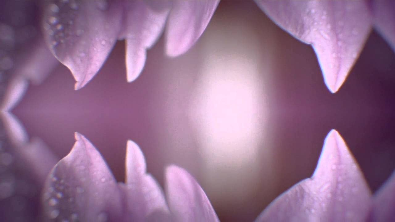 Floriade - Beautiful Innovation