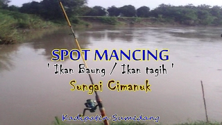 Fishing Spots; Cimanuk River Sumedang, West Java; fish baung