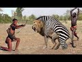 Unbelievable! Zebra that Can KILL LIONS By Power Kick To Rescue Baby | Impala Save Baby From Baboon