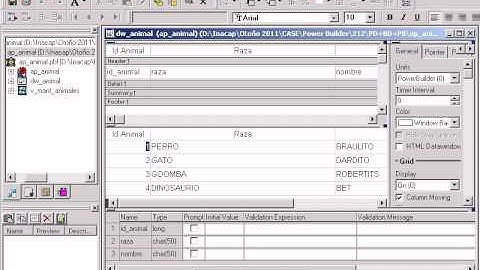 Clase 1 - Power Builder
