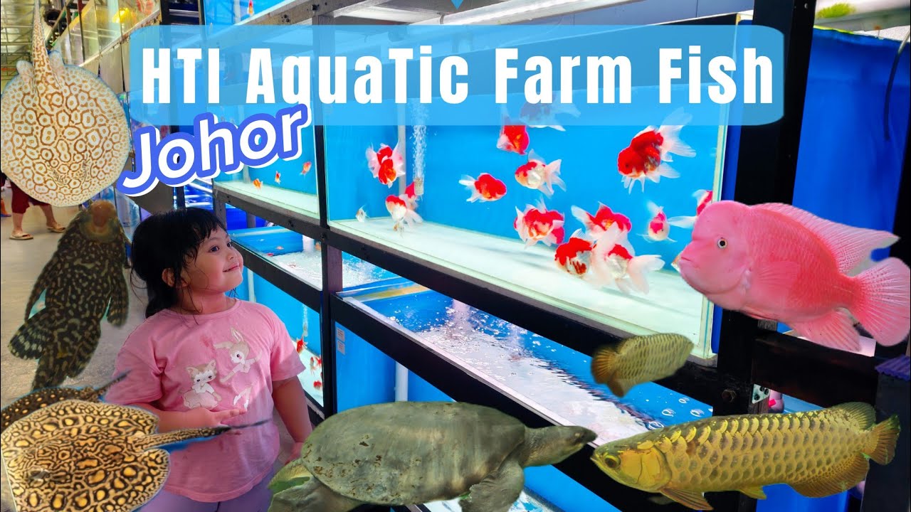 Wiban's Visiting Fish Farm | HTI AquaTic Johor