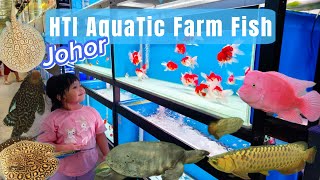 Download Lagu Wiban's Visiting Fish Farm | HTI AquaTic Johor MP3