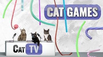 CAT-spellen | Paws & Play: snaaranimaties voor katten! 🐱🎬