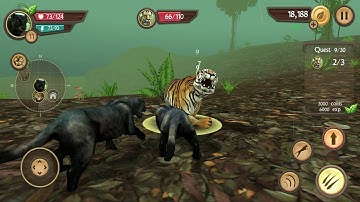 Wild Panther Sim 3D Android Gameplay #3