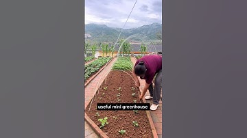 Reusable Mini Greenhouse Materials #gardening #farming farming