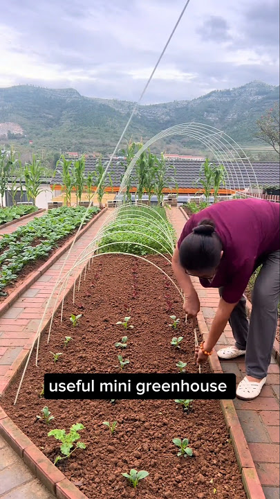 Reusable Mini Greenhouse Materials #gardening #farming farming