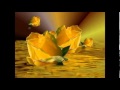 Miniature de la vidéo de la chanson Heartaches By The Number