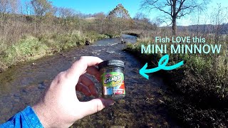 Berkley GULP ALIVE 1' Minnow Trophy Trout Fishing CHALLENGE!