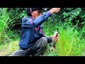 Cá Thiên Nhiên  Như Thế Này Bảo Sao Không nghiện câu .#fishing #vinhfishing #cauca #mientay #fish