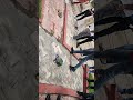robo car race