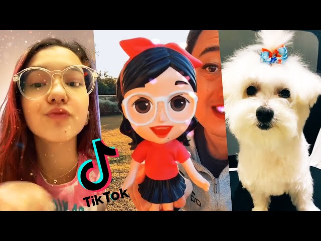 FUI BANIDA DO TIK TOK !! MELHORES TIK TOK DA LULUCA