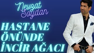 NEVZAT SOYDAN - HASTANE ÖNÜNDE İNCİR AĞACI Resimi