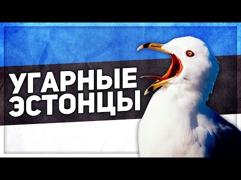 Видео: ЧТО ЭТИ ЭСТОНЦЫ СЕБЕ ПОЗВОЛЯЮТ? (CS:GO)