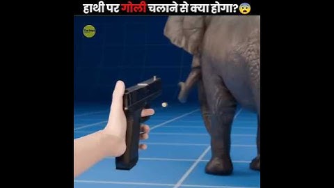 What If You Shot An Elephant 😨