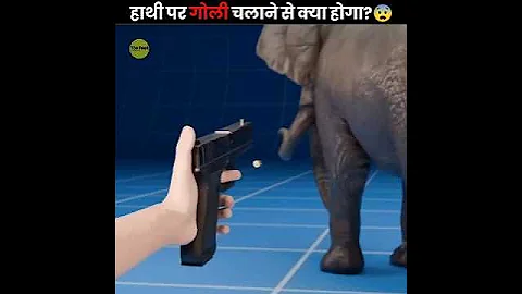 What If You Shot An Elephant 😨 thumbnail