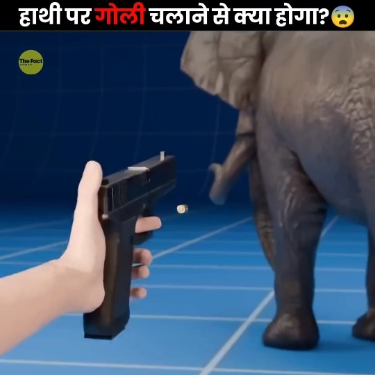What If You Shot An Elephant 😨
