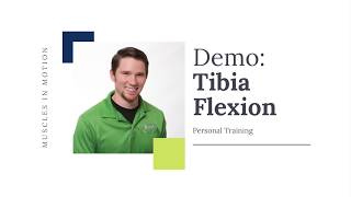 High Intensity Training Demo- Tibia Flexion
