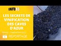 Les secrets de vinification des caves dazur