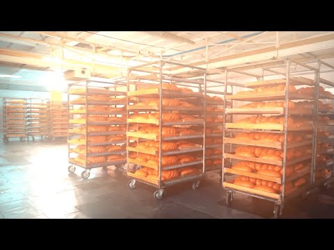 Видео: Видеосъемка на хлебозаводе оборудования для выпекания, нарезки и упаковки хлеба. ОДО Рокинтехинвест.