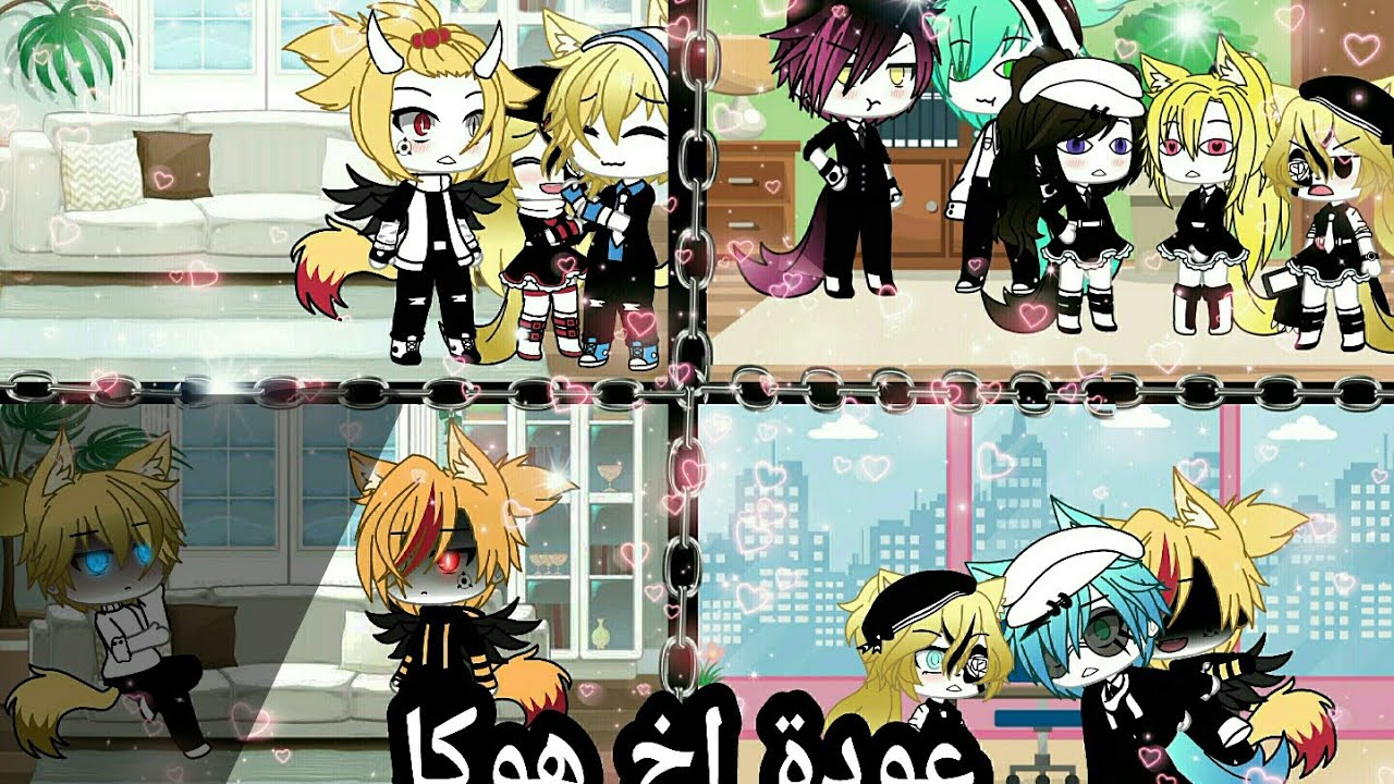 يوميات،عودة اخ هوكا،مديرة شركه ليوم كامل،سكاي وراين يكرهون بعضهم