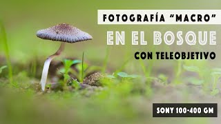 Fotografía &quot;Macro&quot; con Teleobjetivo - Sony 100-400 GM