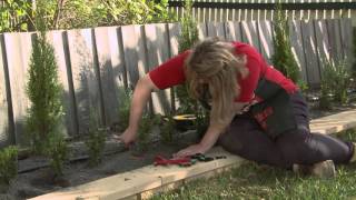 How To Install Irrigation Sprayers And Drippers  DIY At Bunnings