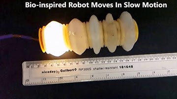 Using Voice Coils to Actuate Modular Soft Robots: Video S1   Slow Motion Locomotion