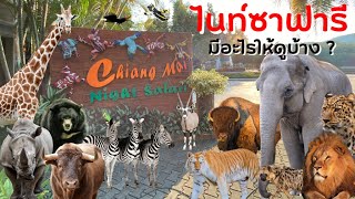 ไนท์ซาฟารี เชียงใหม่ มีอะไรให้ดูบ้าง? | สวนสัตว์เชียงใหม่ Chiang Mai Night Safari ที่เที่ยวเชียงใหม่