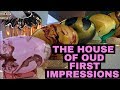 The House Of Oud First Impressions W/LolaScents ❤️ 💛 💚 💙 💜