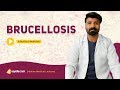 Brucellosis (Trailer) | Infectious Medicine | Medical Student | Clinical V-Learning