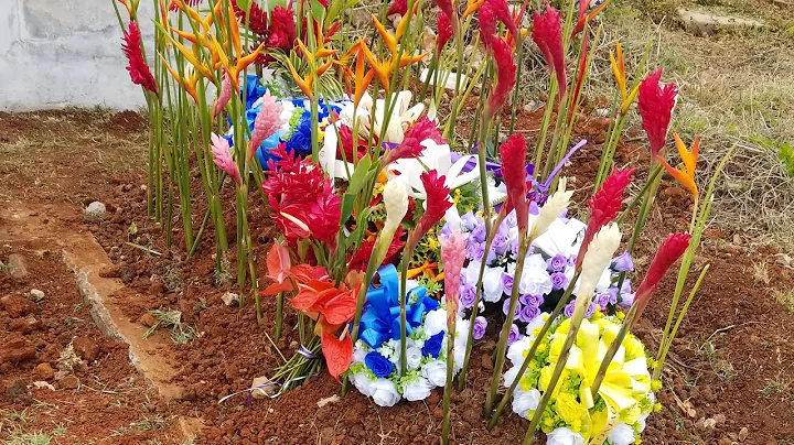 Janet Mark Funeral and Burial Service