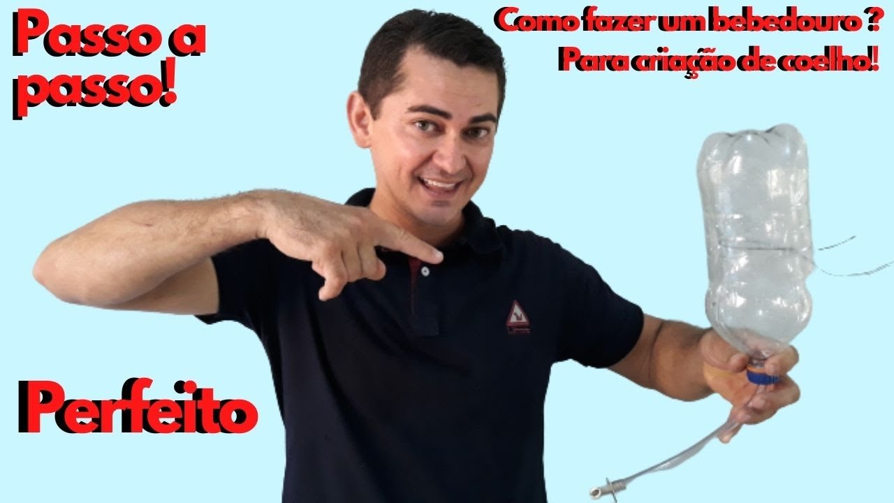 Como fazer um bebedouro perfeito para coelho? passo a passo