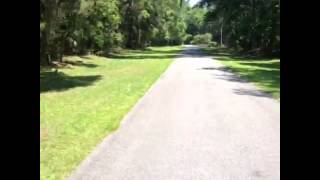 Meghan McCarthy Vine   Being a #weird #loner, what else is new ! #islandlife