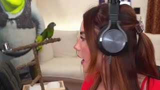 How NOT to Speak to a Parrot