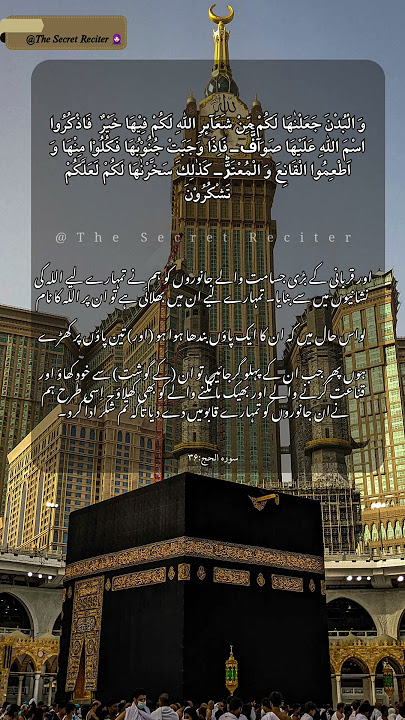 May Your Sacrifice Be Accepted 🤲🏻🐐||Listen To This Beutiful Qur'an Recitation...