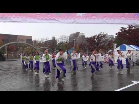やいろ（四日市よさこい祭り2016）市民公園会場