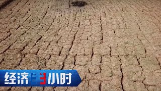 蜀乡逢春旱！“十牛耕田”之地能否渡过难关？「经济半小时」20230321 | 财经风云