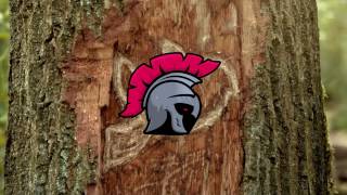 Droeloe  Wake The Warrior