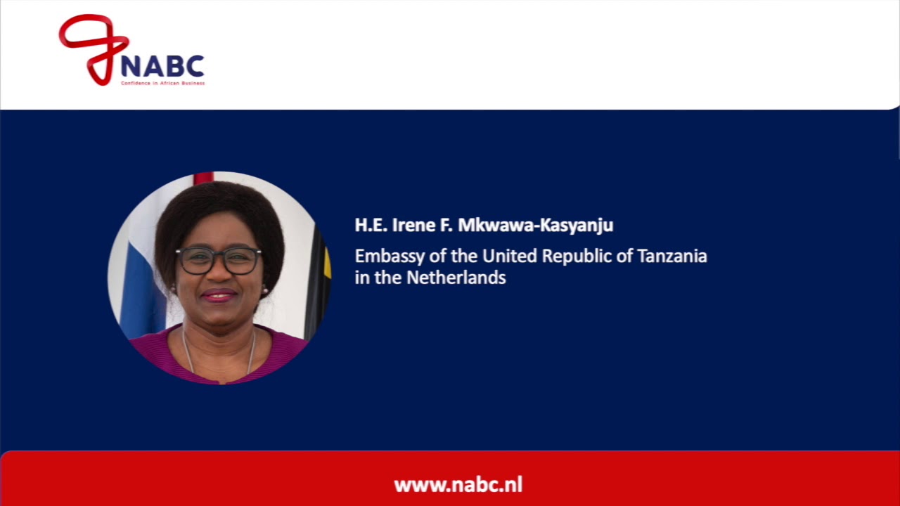 Still from Webinar: Doing Business in Tanzania. July 14th, 2020. By the Netherlands-African Business Council.