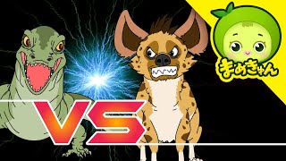 コモドオオトカゲ vs ハイエナ | 動物バトル | まめきゅん MAMEKYUNN