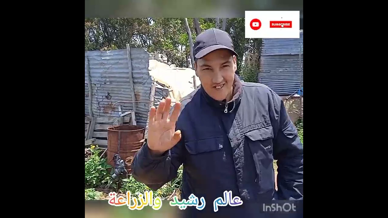 جميع أنواع الغرس والنباتات وأشجار والورود عندي في منبت مرحبا بكم في مدينة سلا عند أخوكم رشيد