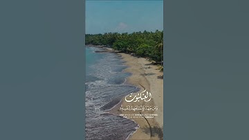 تلاوة آيات من سورة العنكبوت للقارئ ناصر القطامي