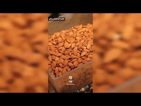 کره بادام زمینی طبیعی خرید کره بادام زمینی رون مشهد فرامز عباسی