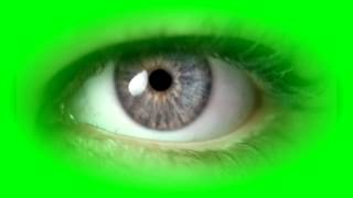 Beautiful Eye Green Screen 👁 | Blinking Eyes Green Screen