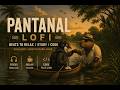 Pantanal Lofi: Beats to relax/study/code [Chillhop - Deep Nature Flow]