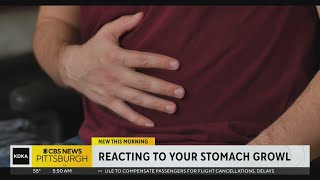 Why does your stomach growl?